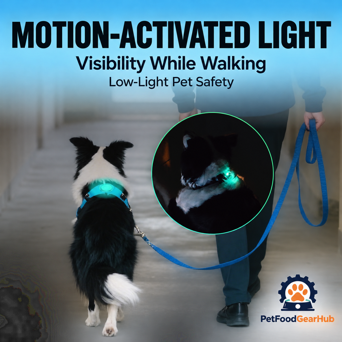 GPS Pet Tracker Collar with Sound and Light Search – motion-activated pet collar light