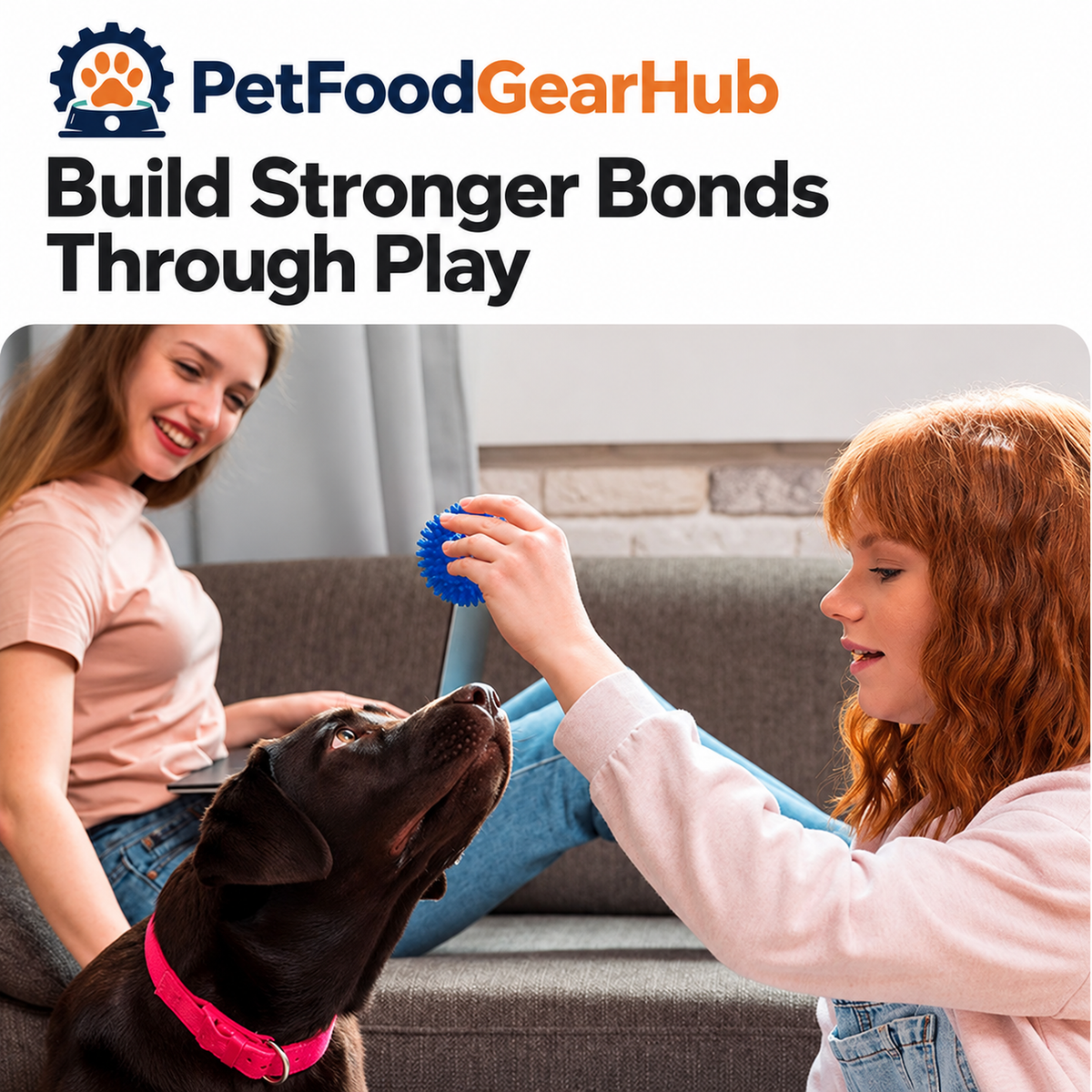 PetFoodGearHub interactive dog chew and squeaky toys