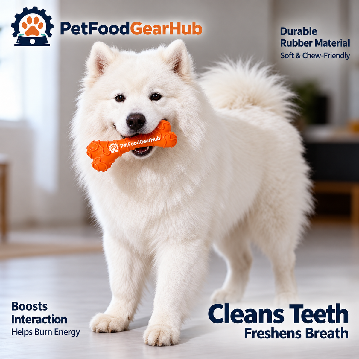 PetFoodGearHub interactive dog chew and squeaky toys
