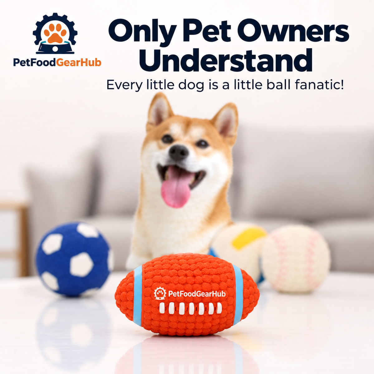 PetFoodGearHub large sports balls and dog toys