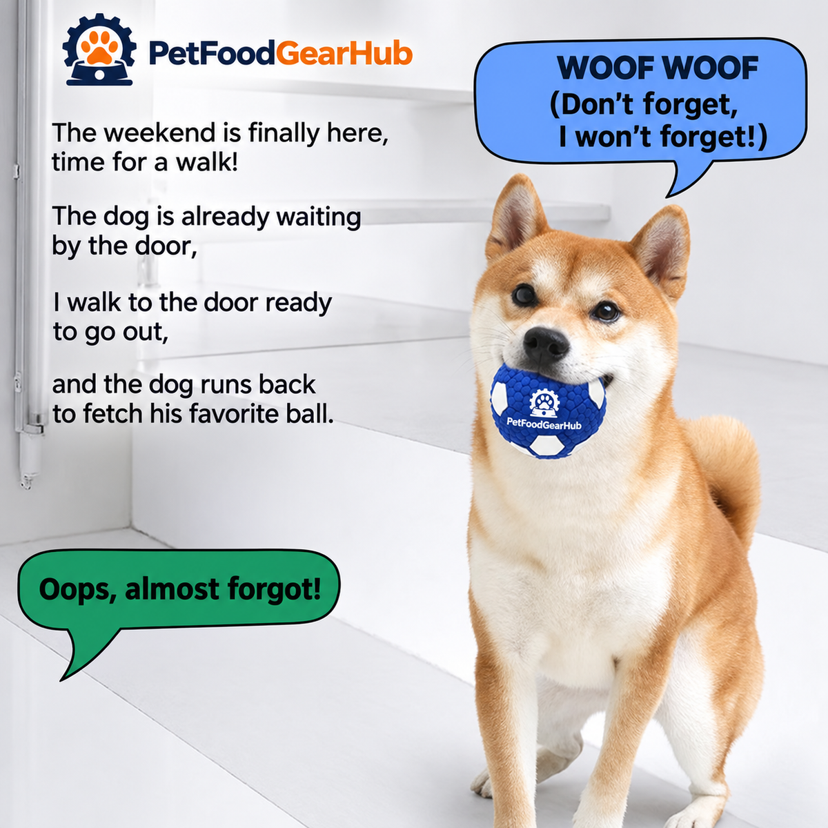 PetFoodGearHub large sports balls and dog toys