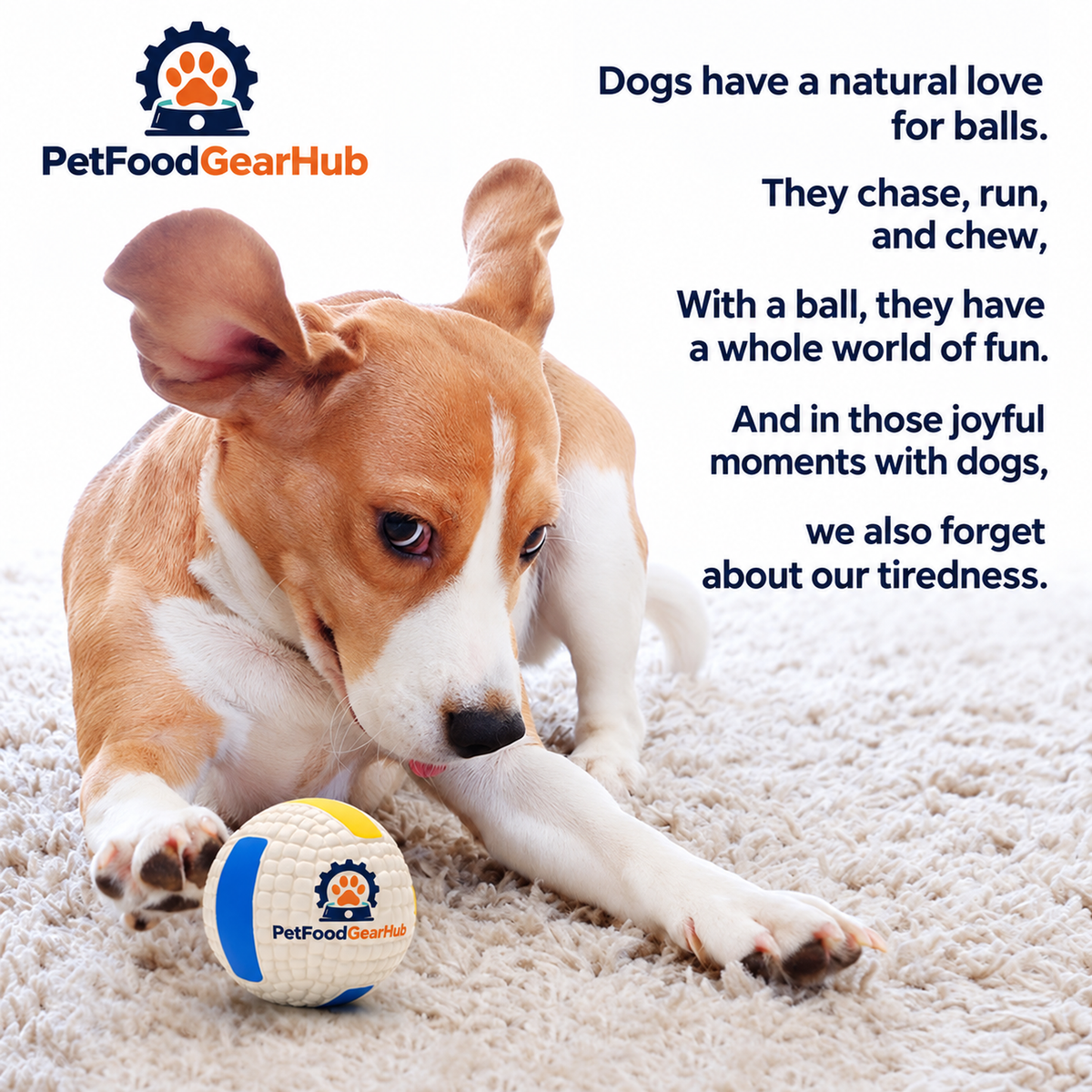 PetFoodGearHub large sports balls and dog toys