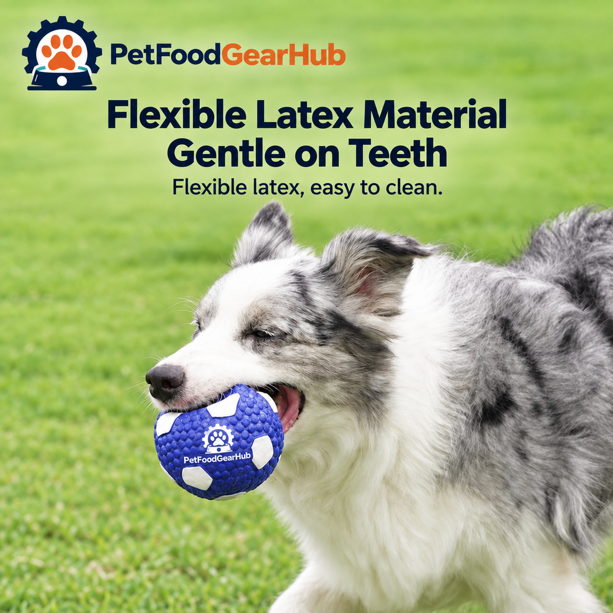 PetFoodGearHub large sports balls and dog toys