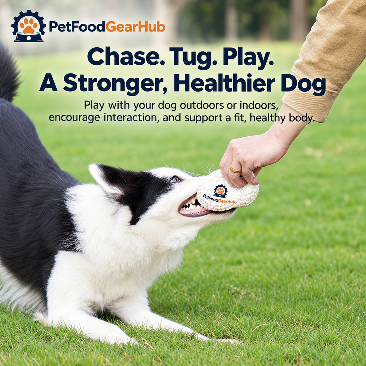 PetFoodGearHub large sports balls and dog toys