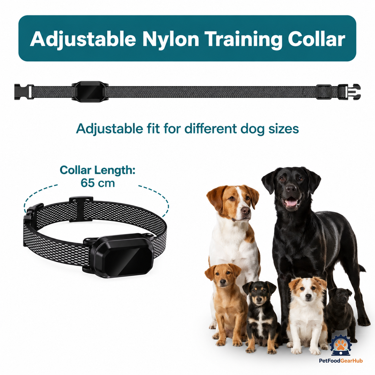 PetFoodGearHub Manual and Automatic Dog Training Collar - product view 5