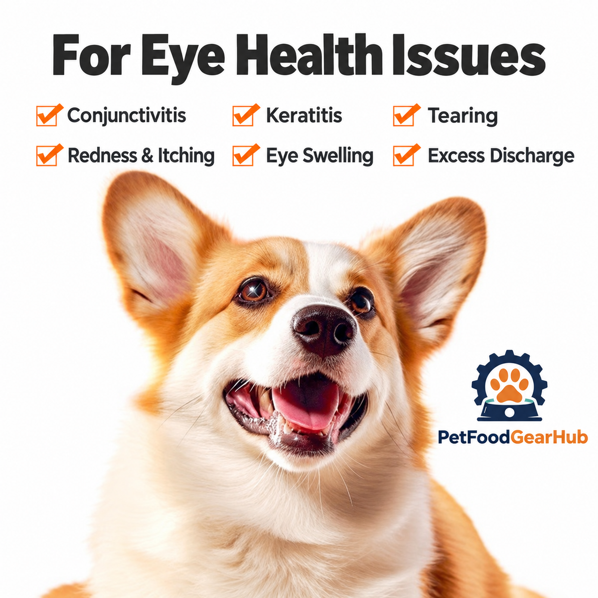 PetFoodGearHub neomycin sulfate eye drops and companion products