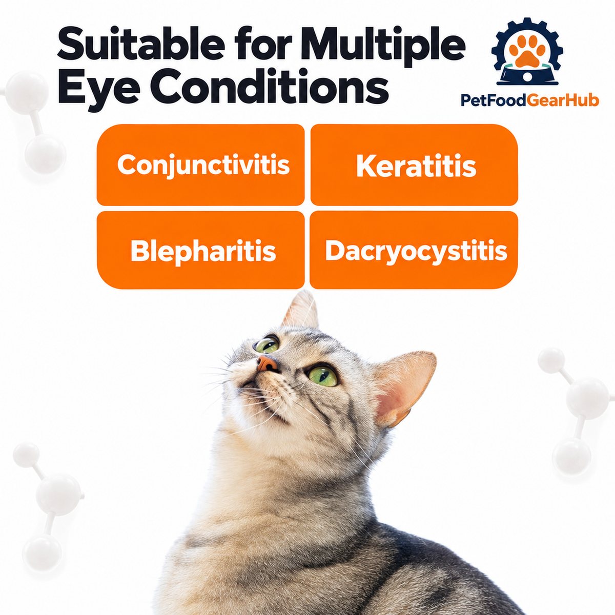 PetFoodGearHub neomycin sulfate eye drops and companion products
