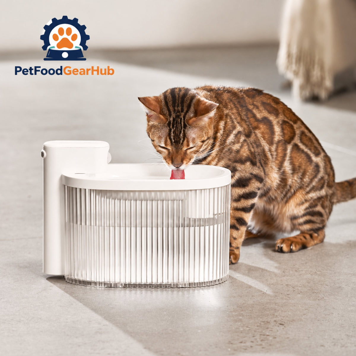 PetFoodGearHub M3 Smart Cat Feeder & Mini Cordless Fountain Bundle - Cat drinking from the cordless fountain