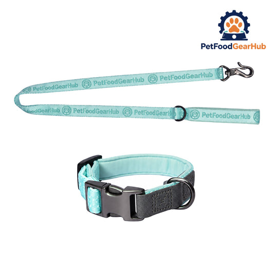 PetFoodGearHub Embroidered Jacquard Dog Collar and Leash Set - Mint green collar and leash set