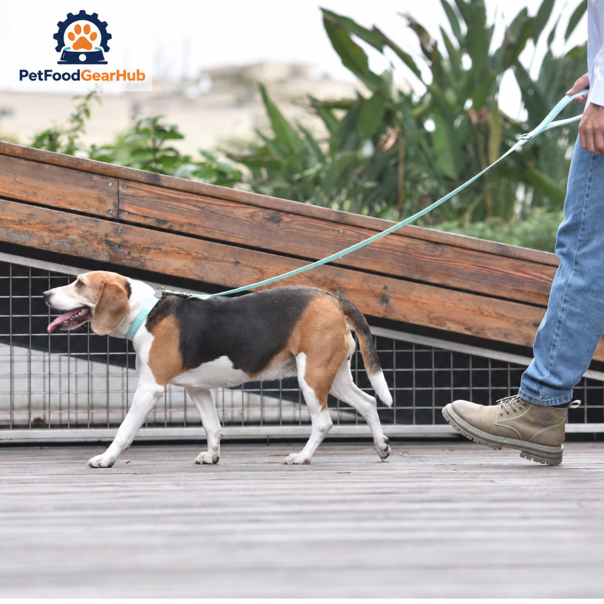 PetFoodGearHub Embroidered Jacquard Dog Collar and Leash Set - Dog wearing the collar and leash