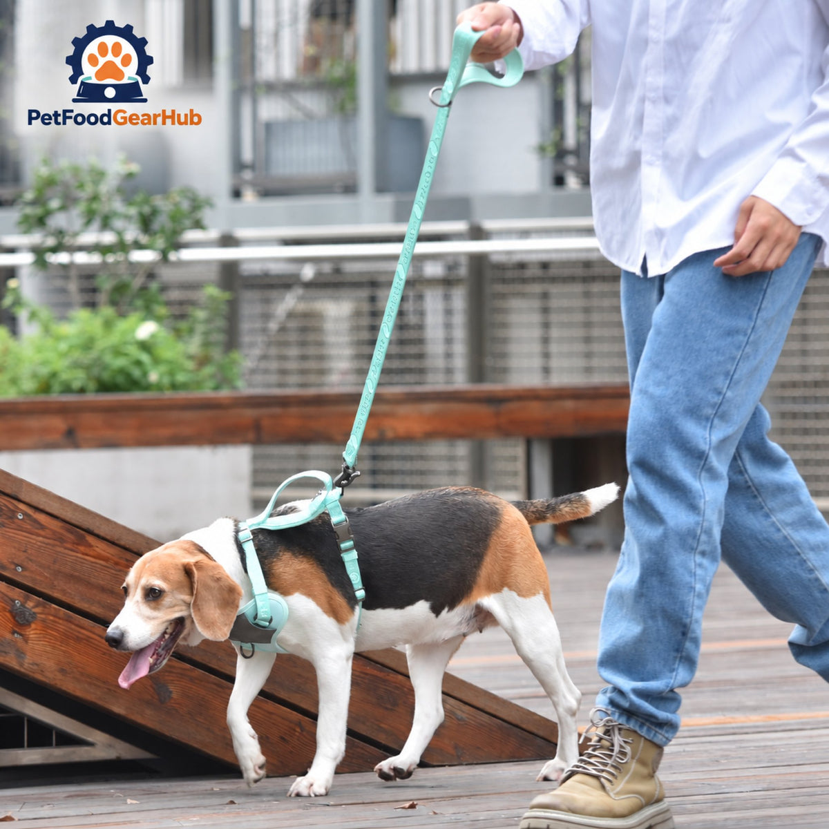 PetFoodGearHub Embroidered Jacquard Dog Harness and Leash Set - Dog wearing the harness and leash