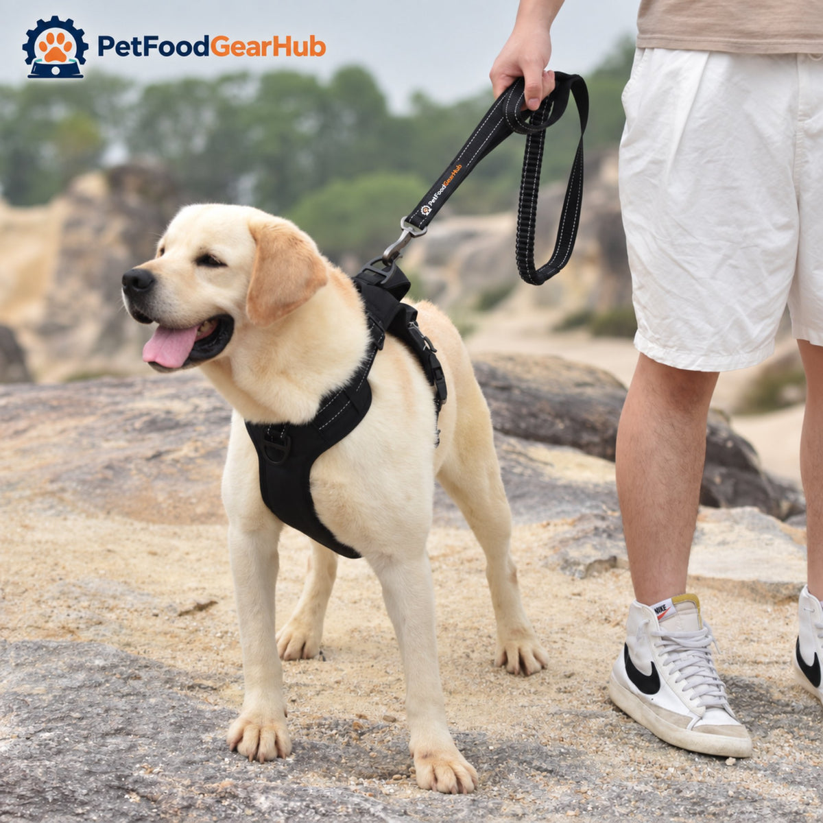 PetFoodGearHub Tactical Dog Harness and Leash Set with Waste Bag Holder - Dog walking with the bungee leash