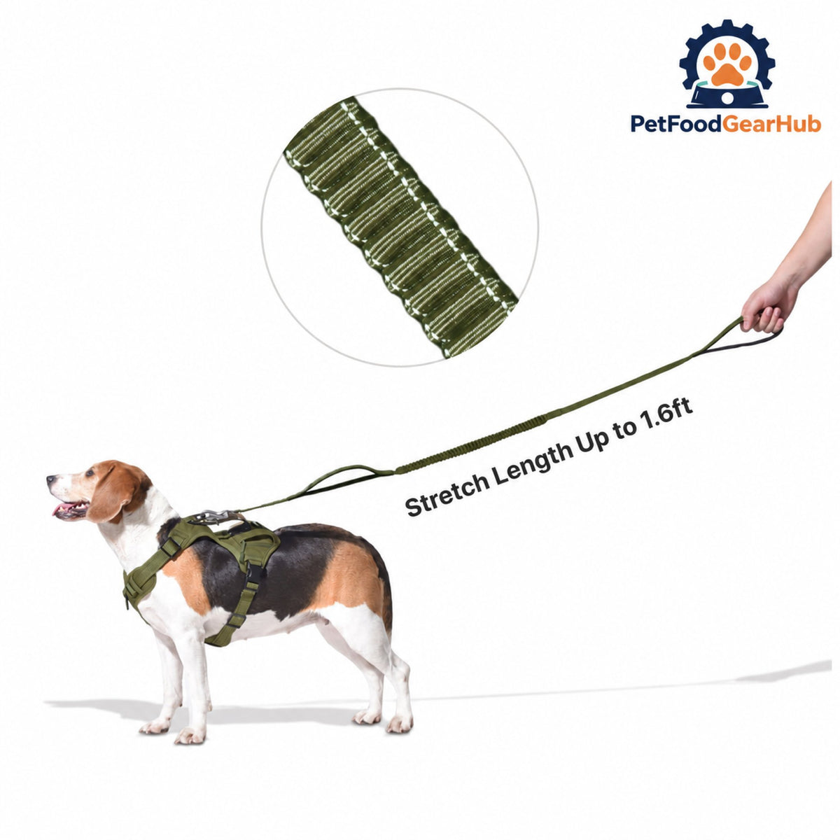 PetFoodGearHub Shock-Absorbing Dog Leash with Two Handles - Stretch section of the bungee leash