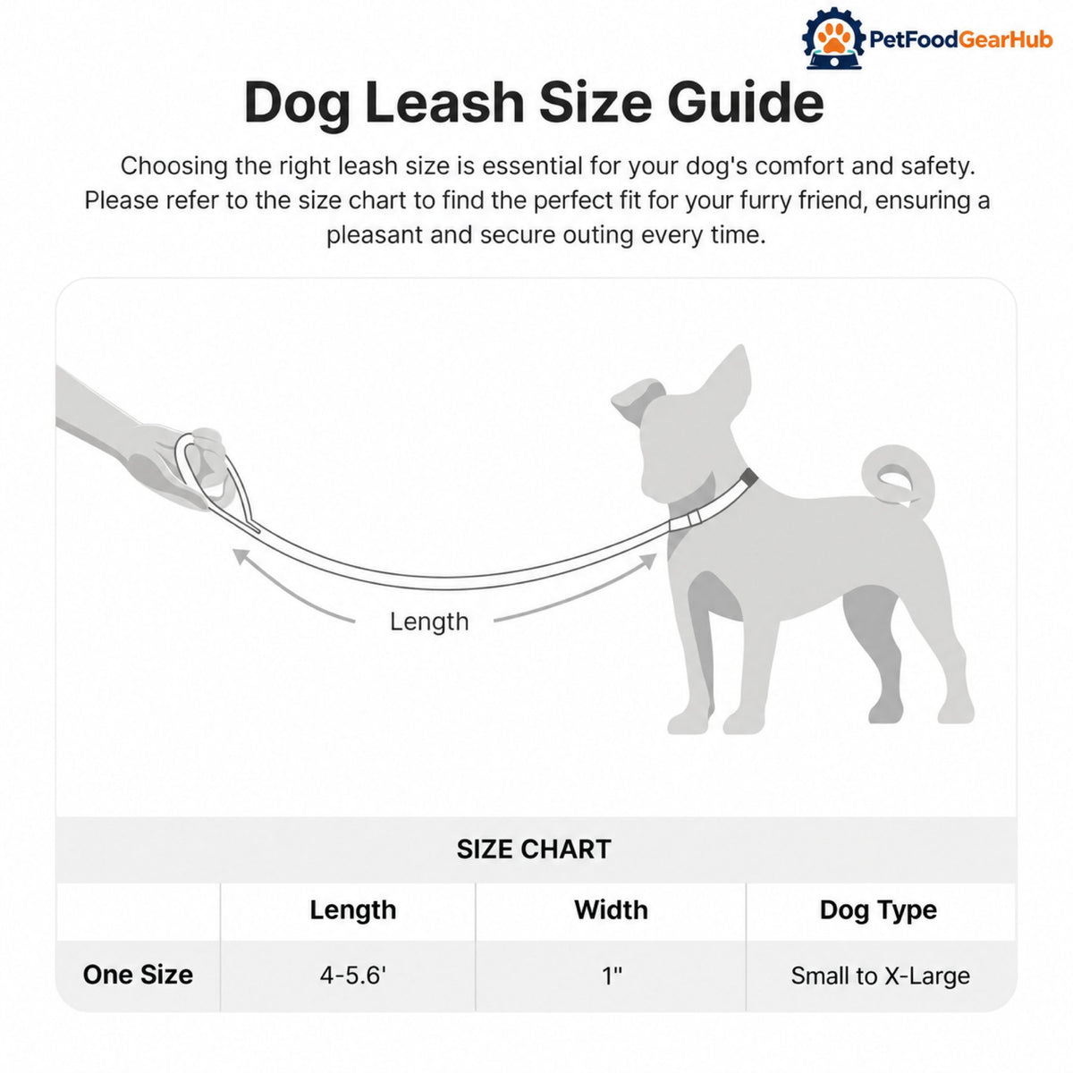 PetFoodGearHub Shock-Absorbing Dog Leash with Two Handles - Leash dimensions