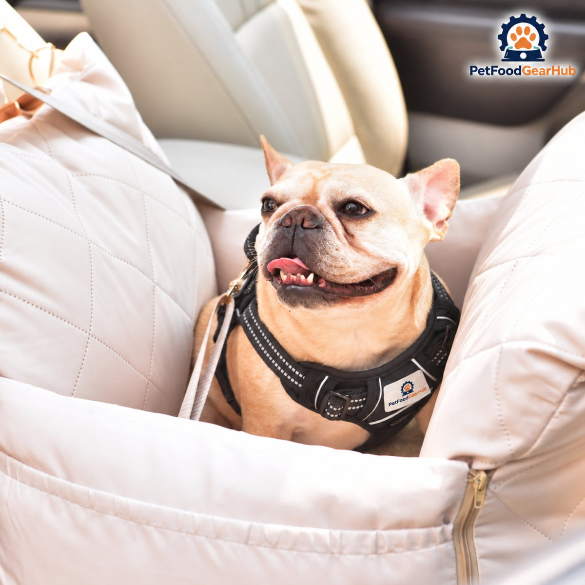 PetFoodGearHub Dog Booster Car Seat with Removable Cushion - Dog sitting in the car seat