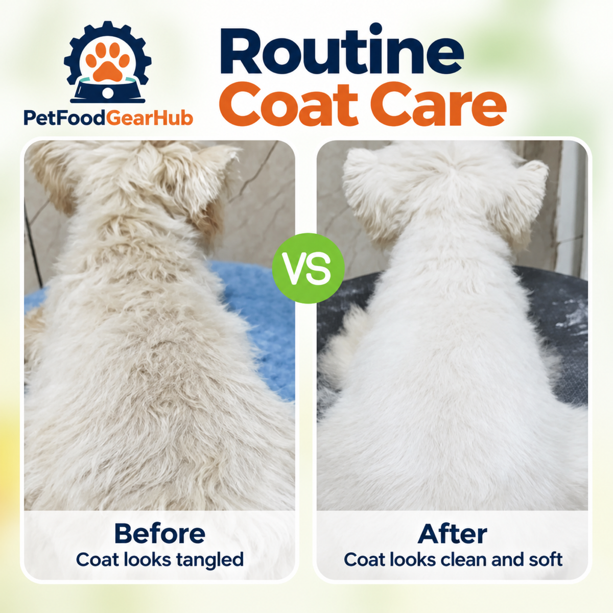 PetFoodGearHub pet dry shampoo product view