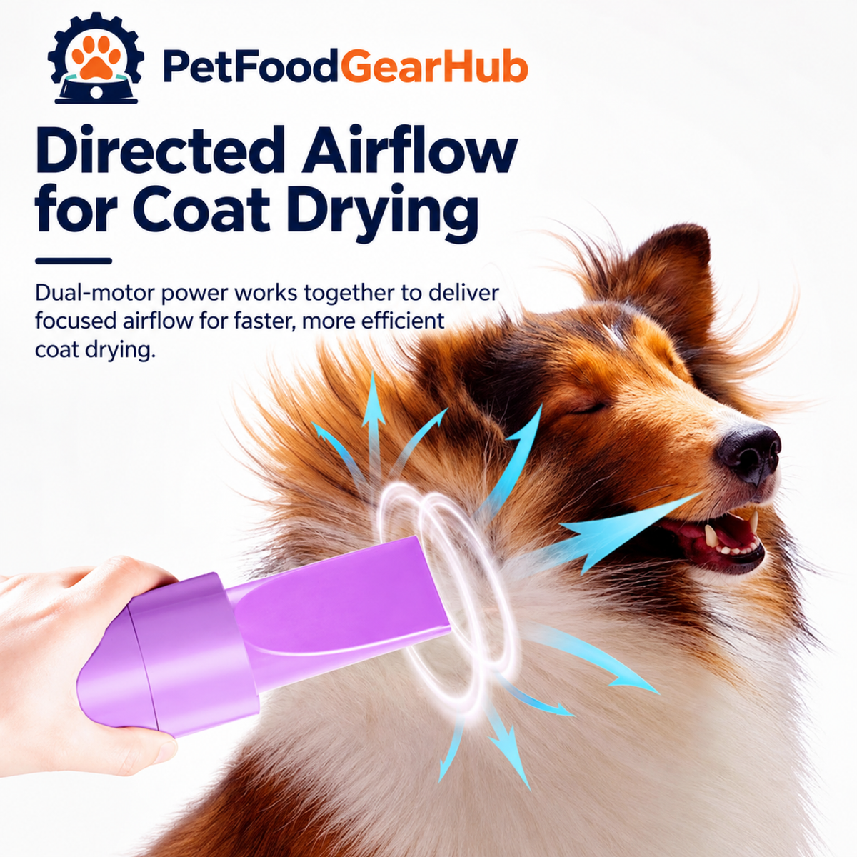PetFoodGearHub pet grooming dryers product view