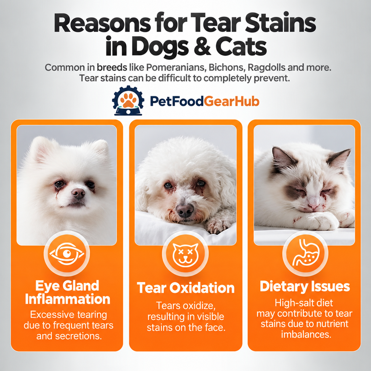 PetFoodGearHub tear stain serum and chewables