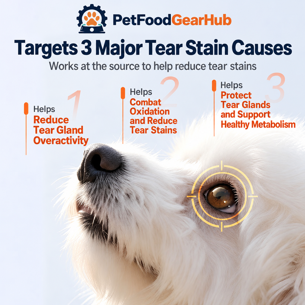 PetFoodGearHub tear stain serum and chewables