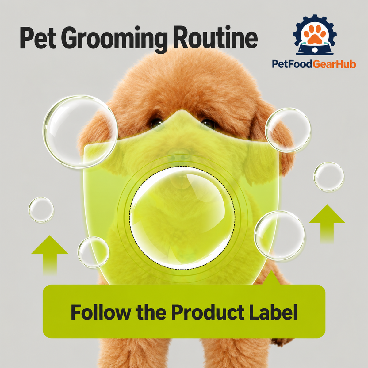 PetFoodGearHub waterless pet powder application