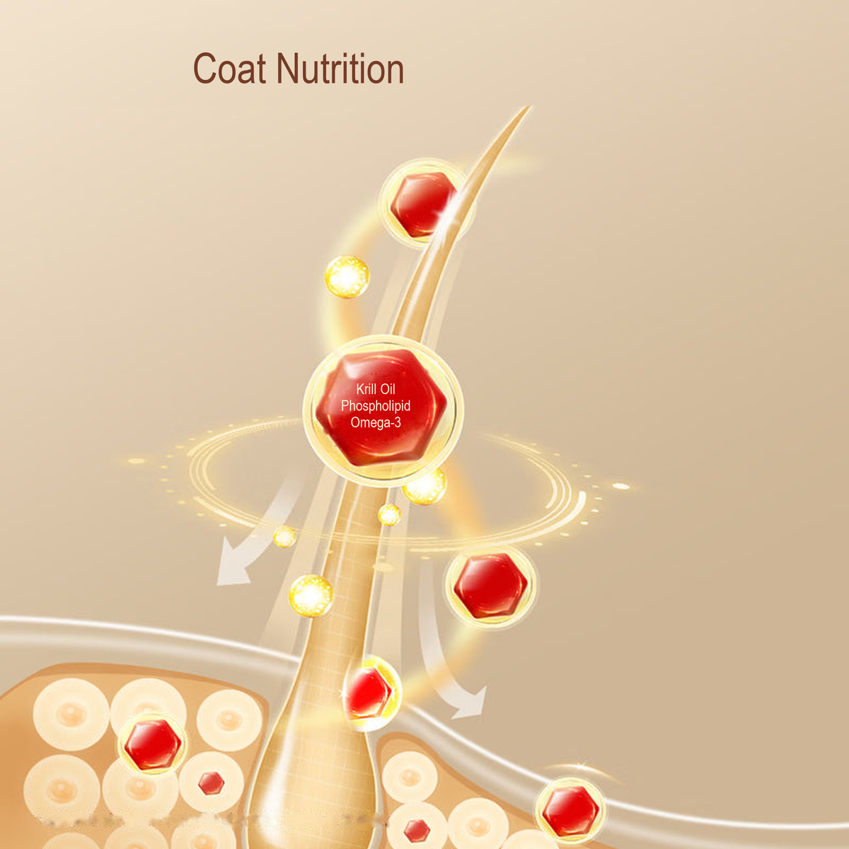 PetFoodGearHub pet food product image