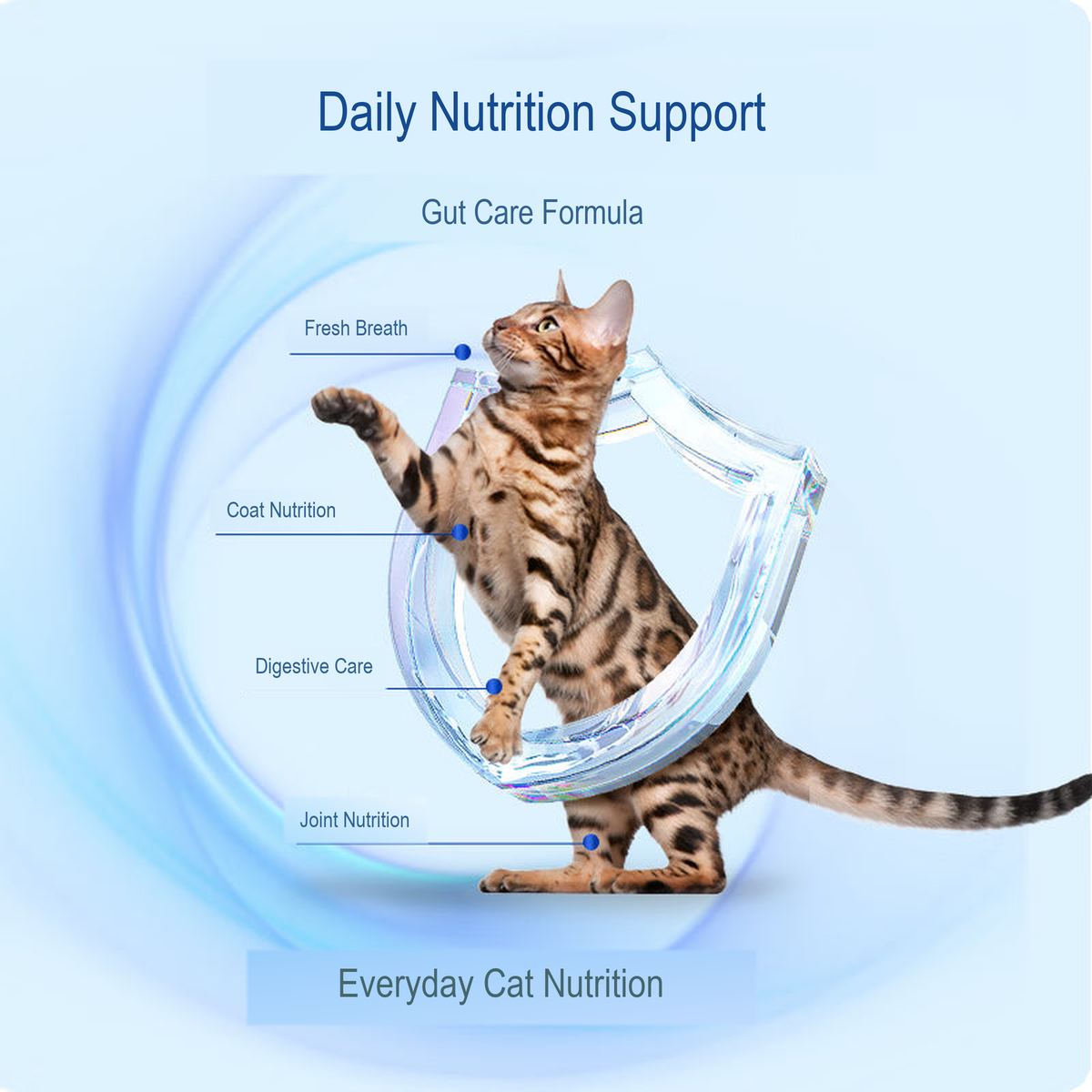 PetFoodGearHub pet food product image