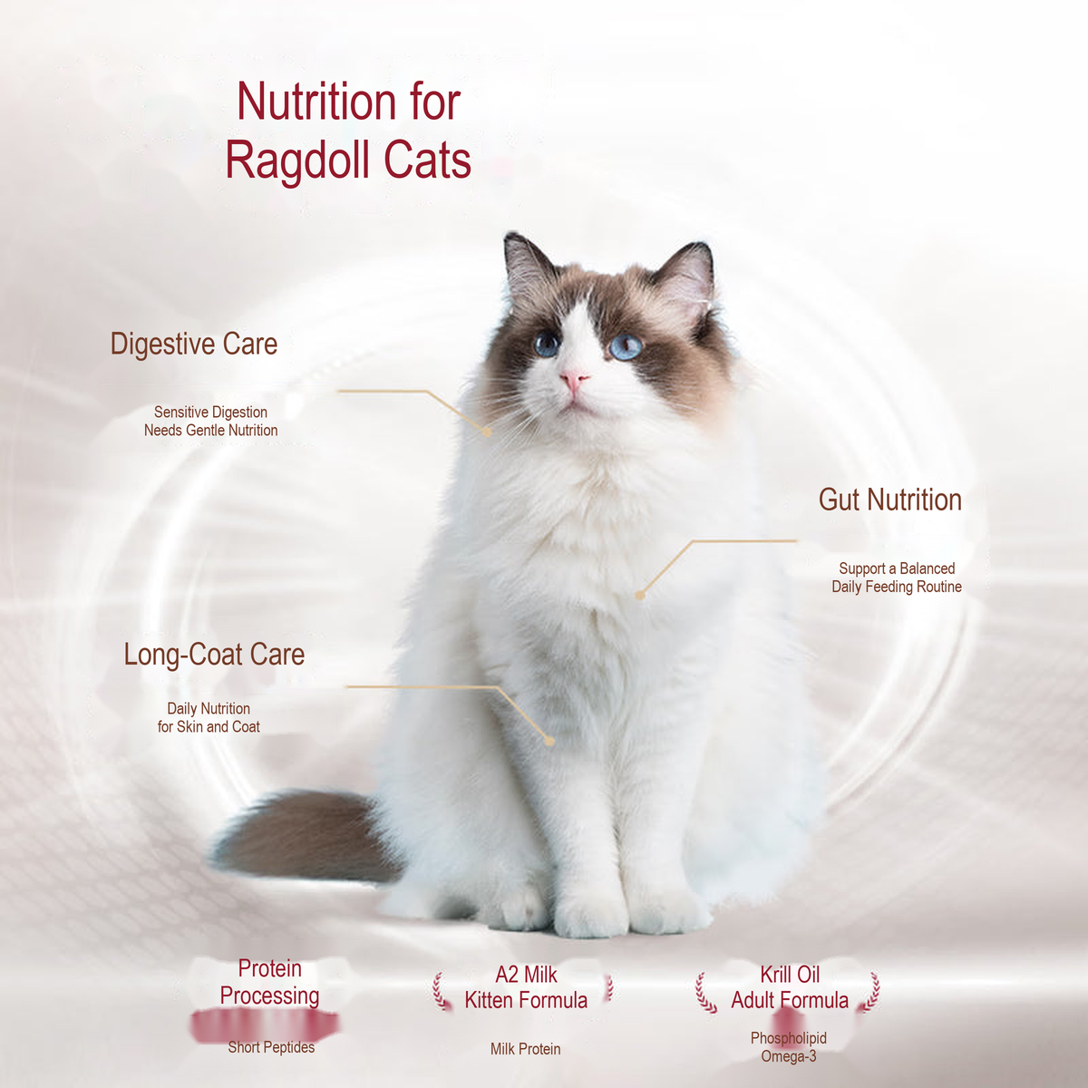 PetFoodGearHub pet food product image