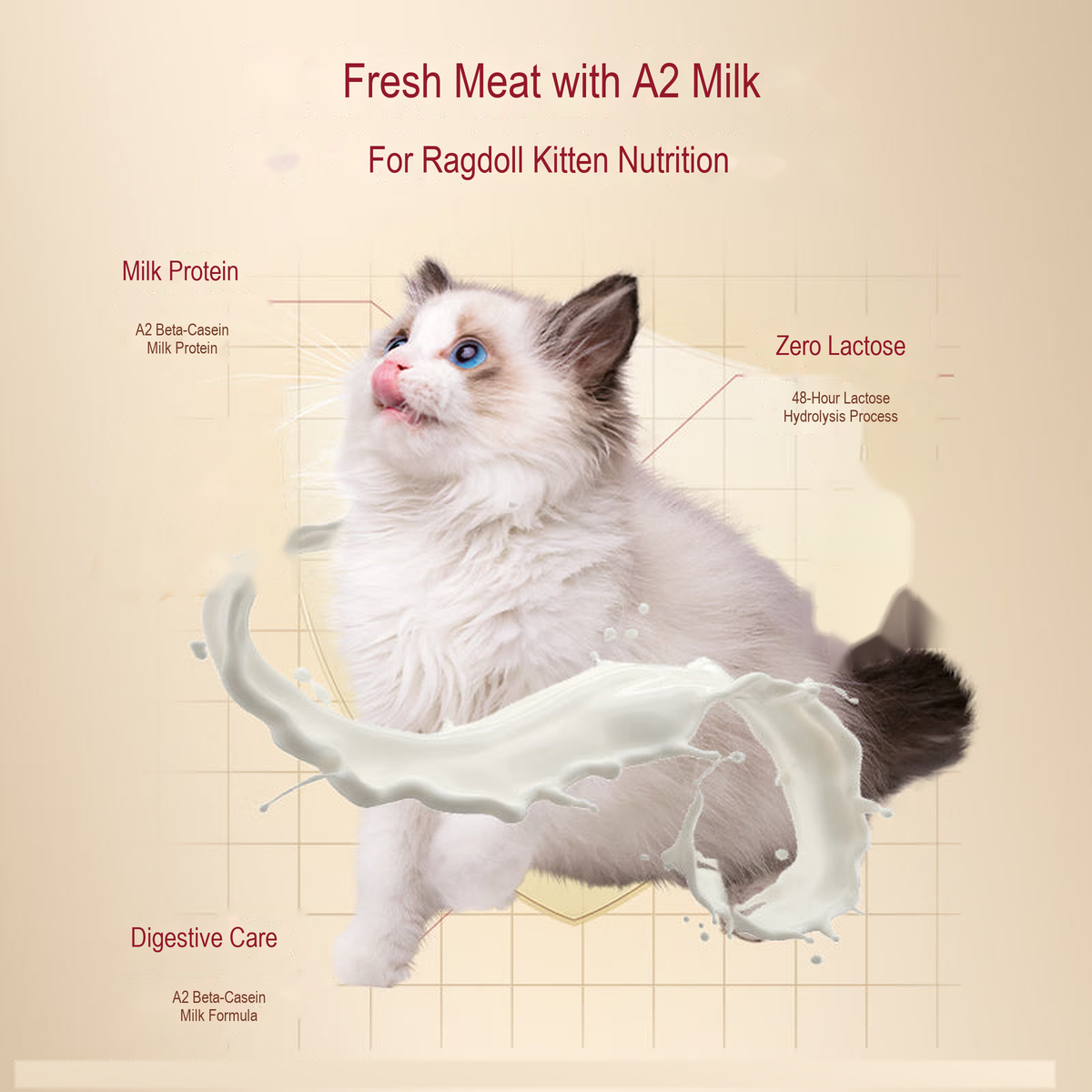 PetFoodGearHub pet food product image