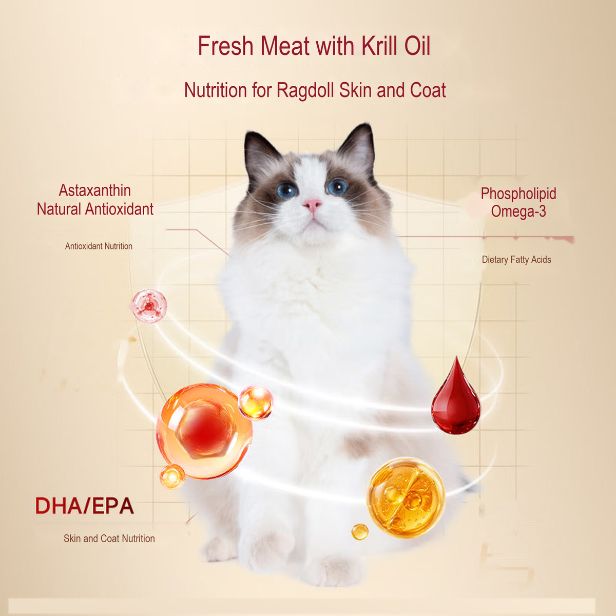 PetFoodGearHub pet food product image