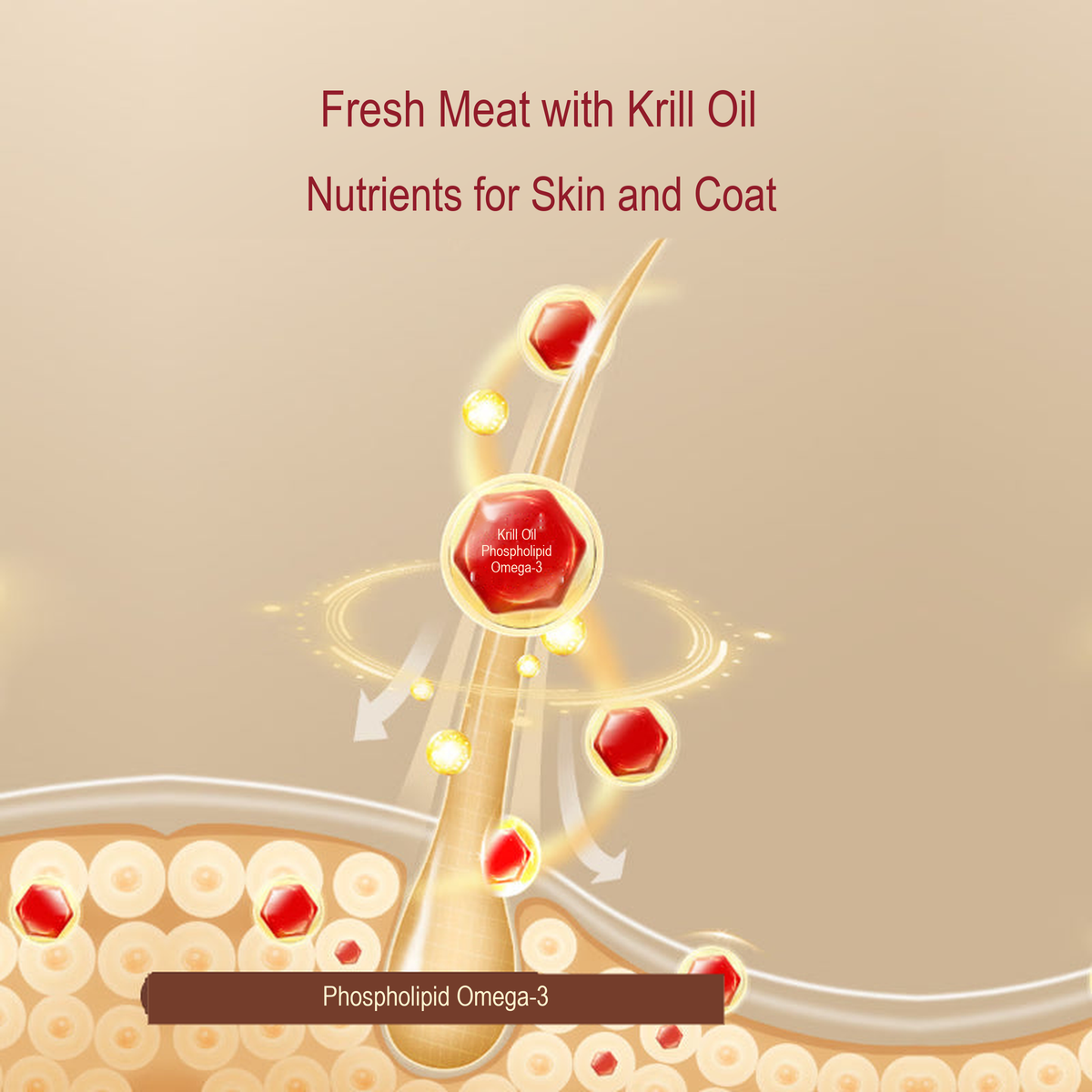 PetFoodGearHub pet food product image