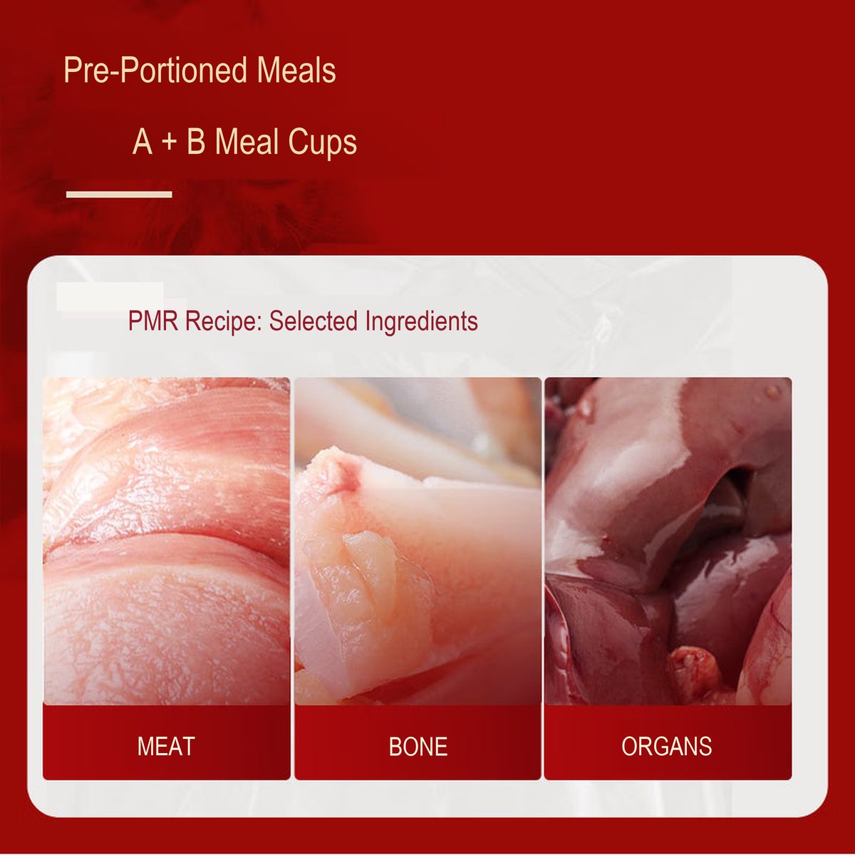 PetFoodGearHub pet food product image