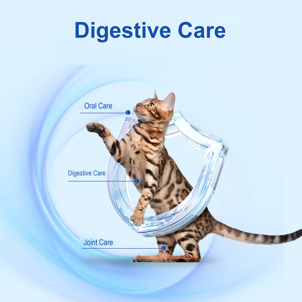 Cat care illustration for PetFoodGearHub dry cat food