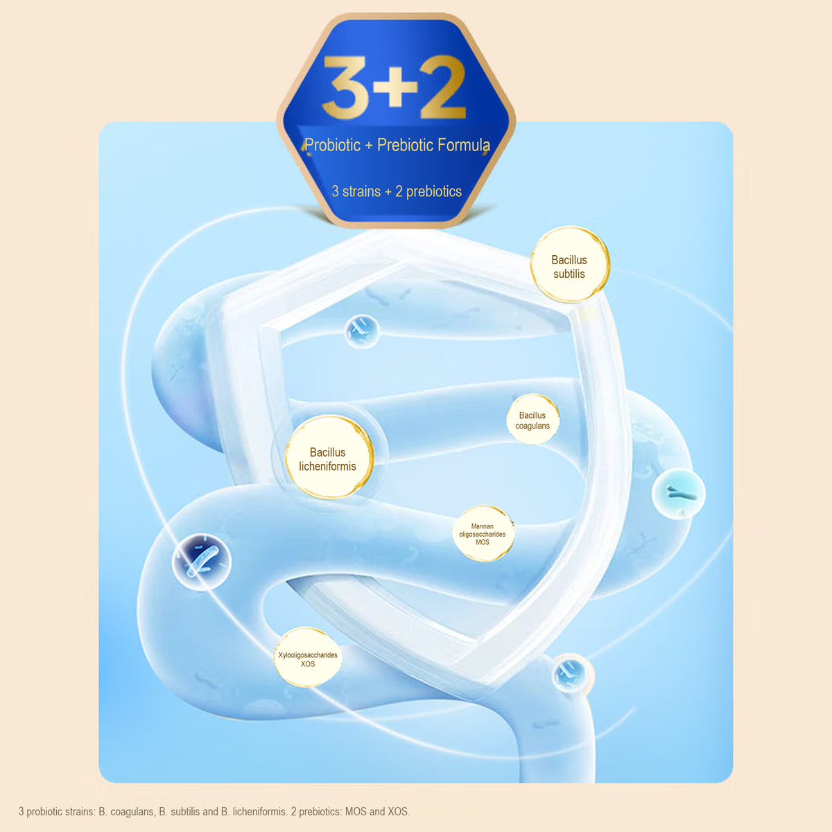 PetFoodGearHub formula with three probiotic strains and two prebiotics