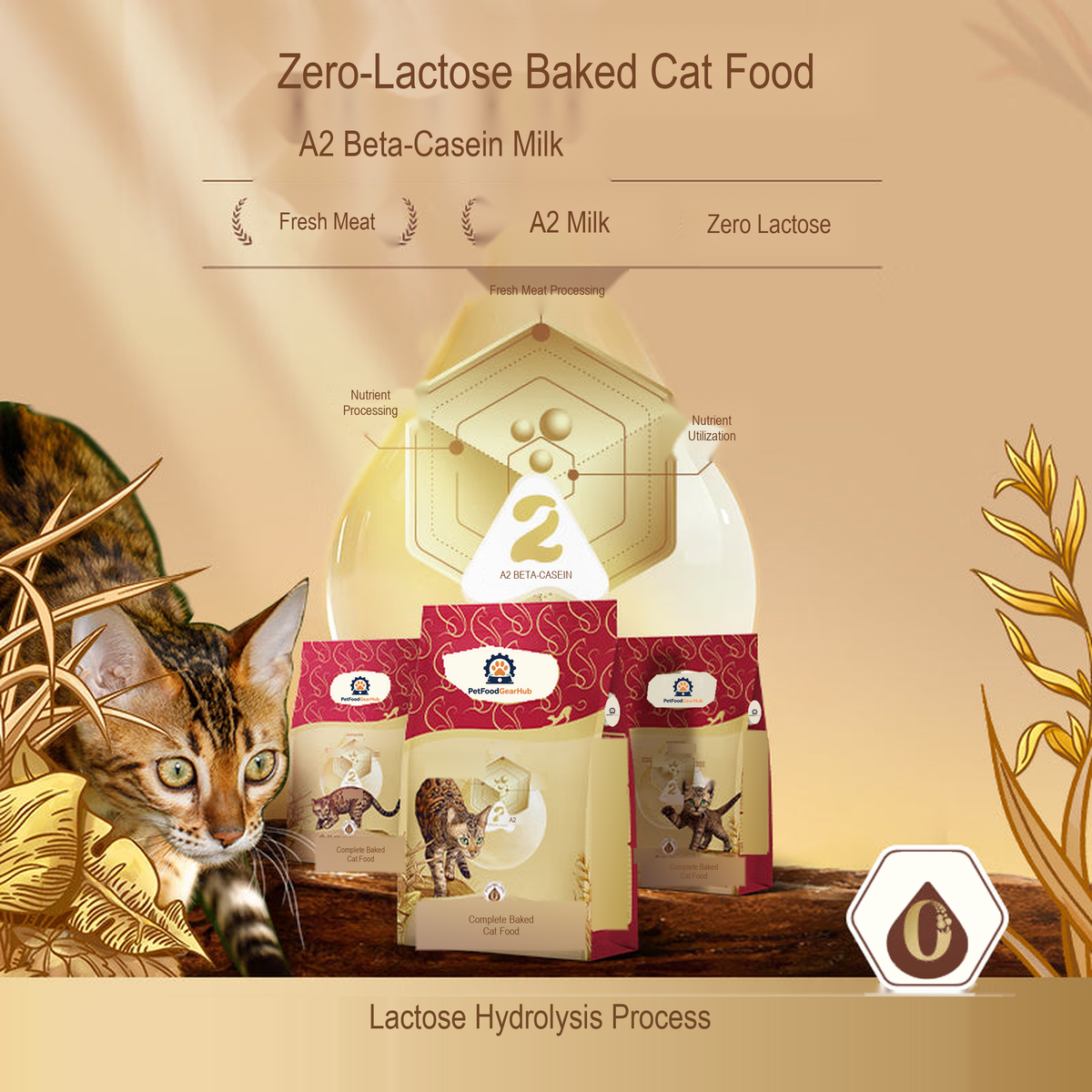 PetFoodGearHub pet food product image
