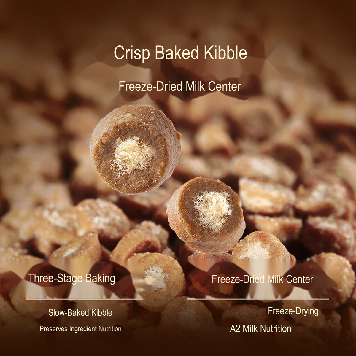 PetFoodGearHub pet food product image