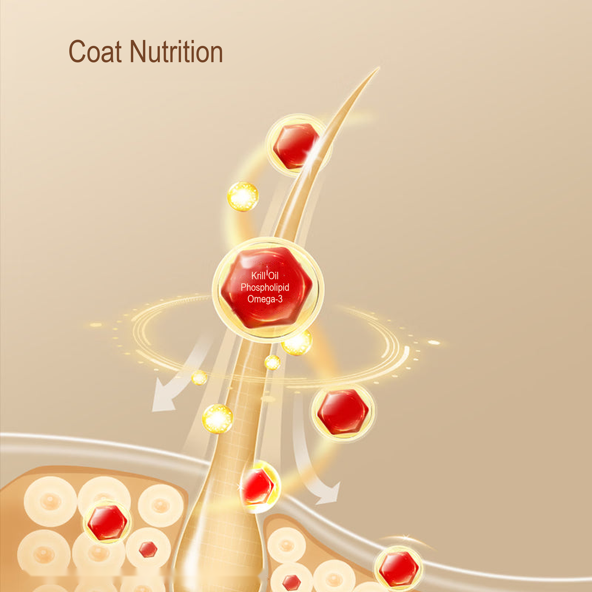 PetFoodGearHub pet food product image