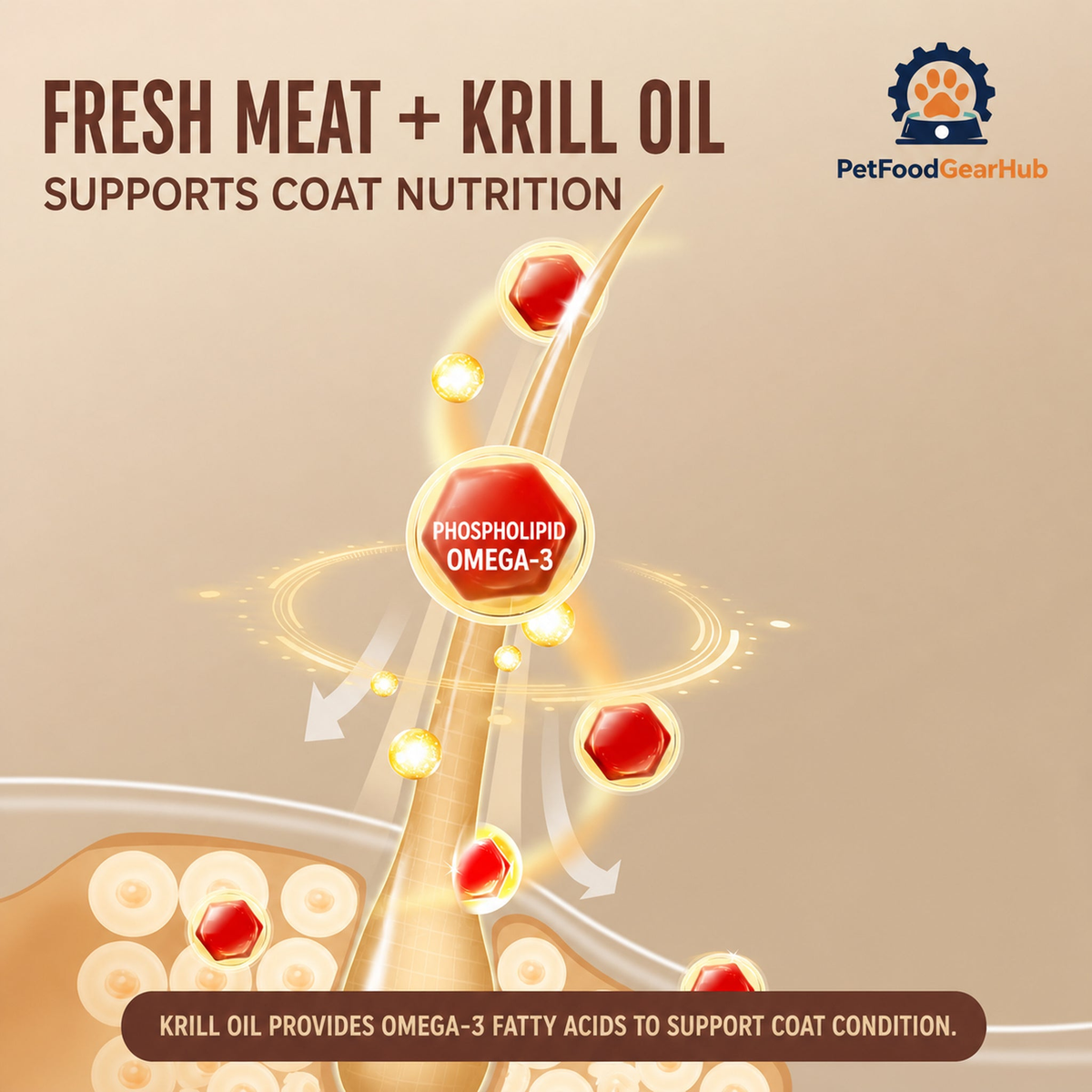 Fresh meat and krill oil infographic with phospholipid Omega-3 for coat nutrition