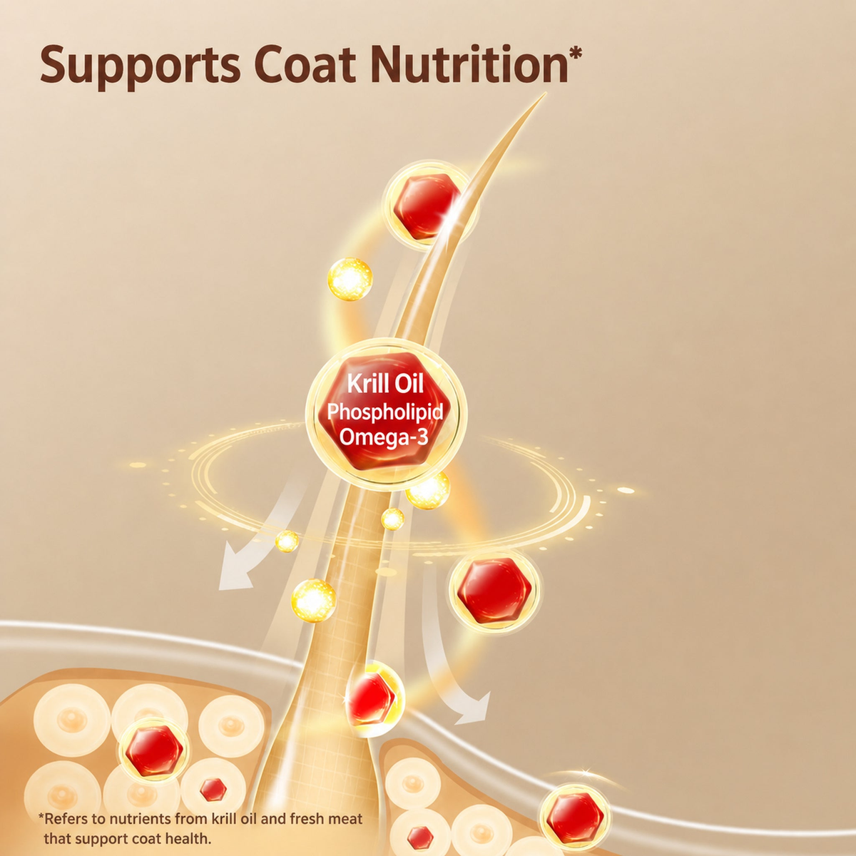 Krill oil and phospholipid Omega-3 coat nutrition diagram