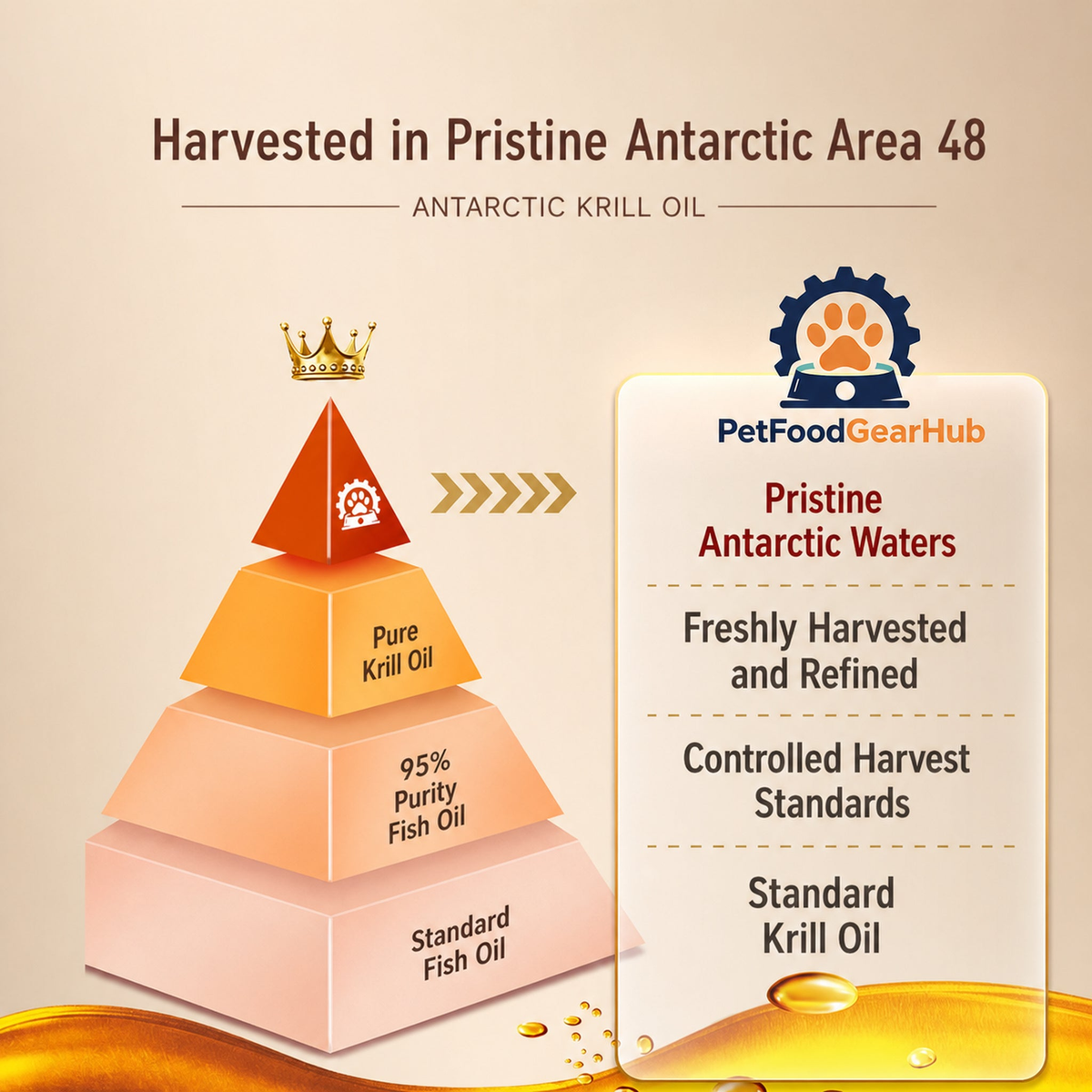 Antarctic krill oil source and comparison diagram