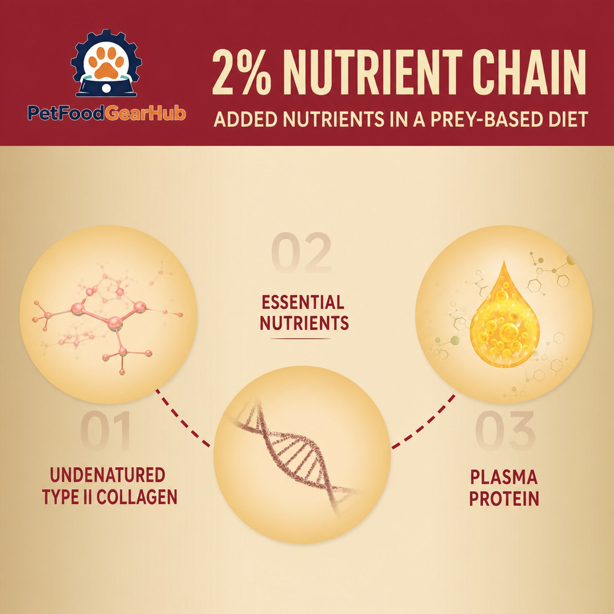 FPMR 2% nutrient chain with essential nutrients, plasma protein, and type II collagen