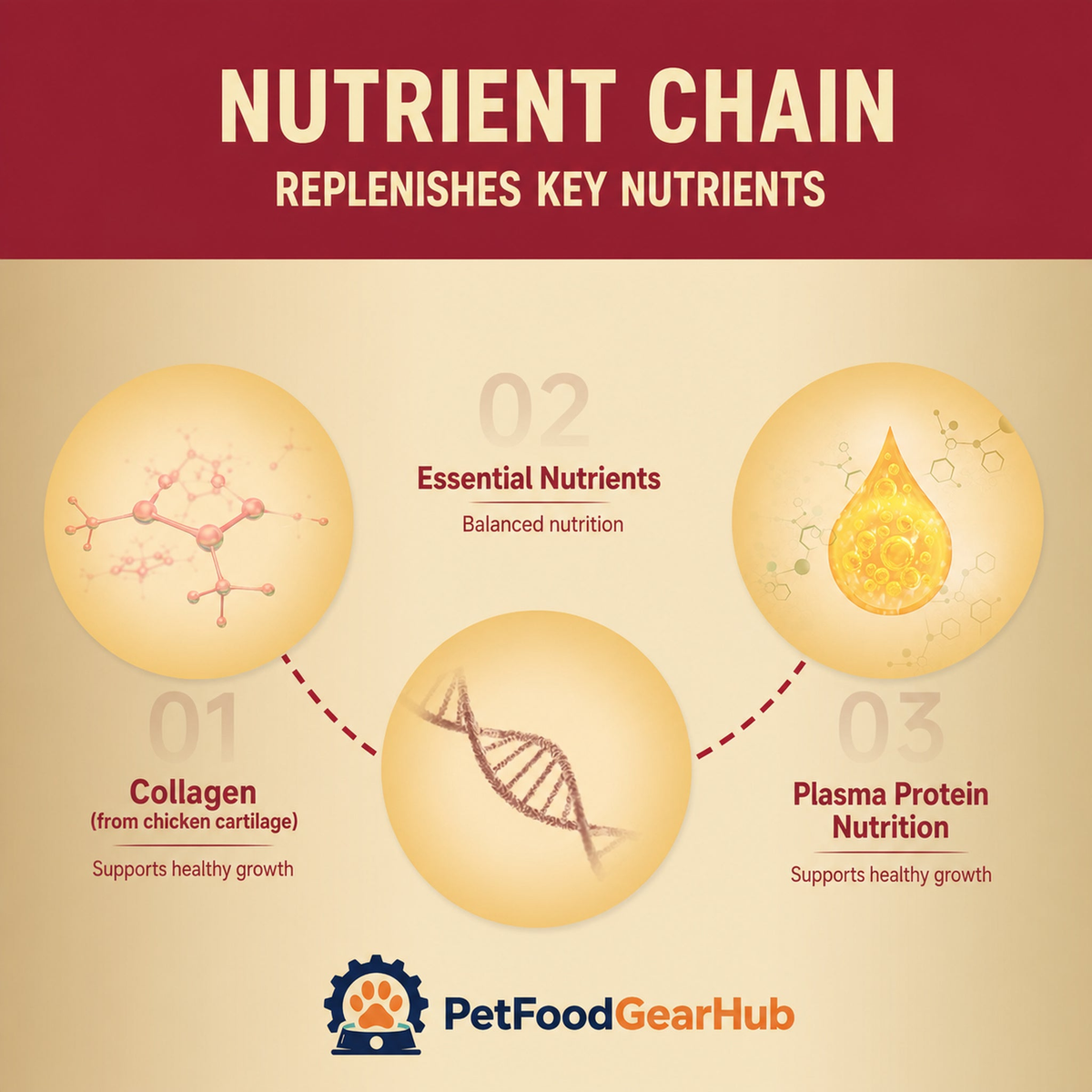 FPMR nutrient chain with collagen, essential nutrients, and plasma protein