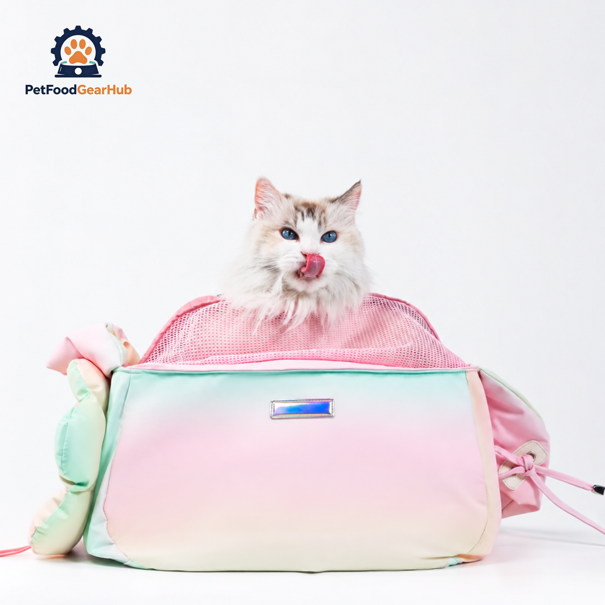Cat Inside Pink Gradien Crossbody Cat Bag Carrier | PetFoodGearHub
