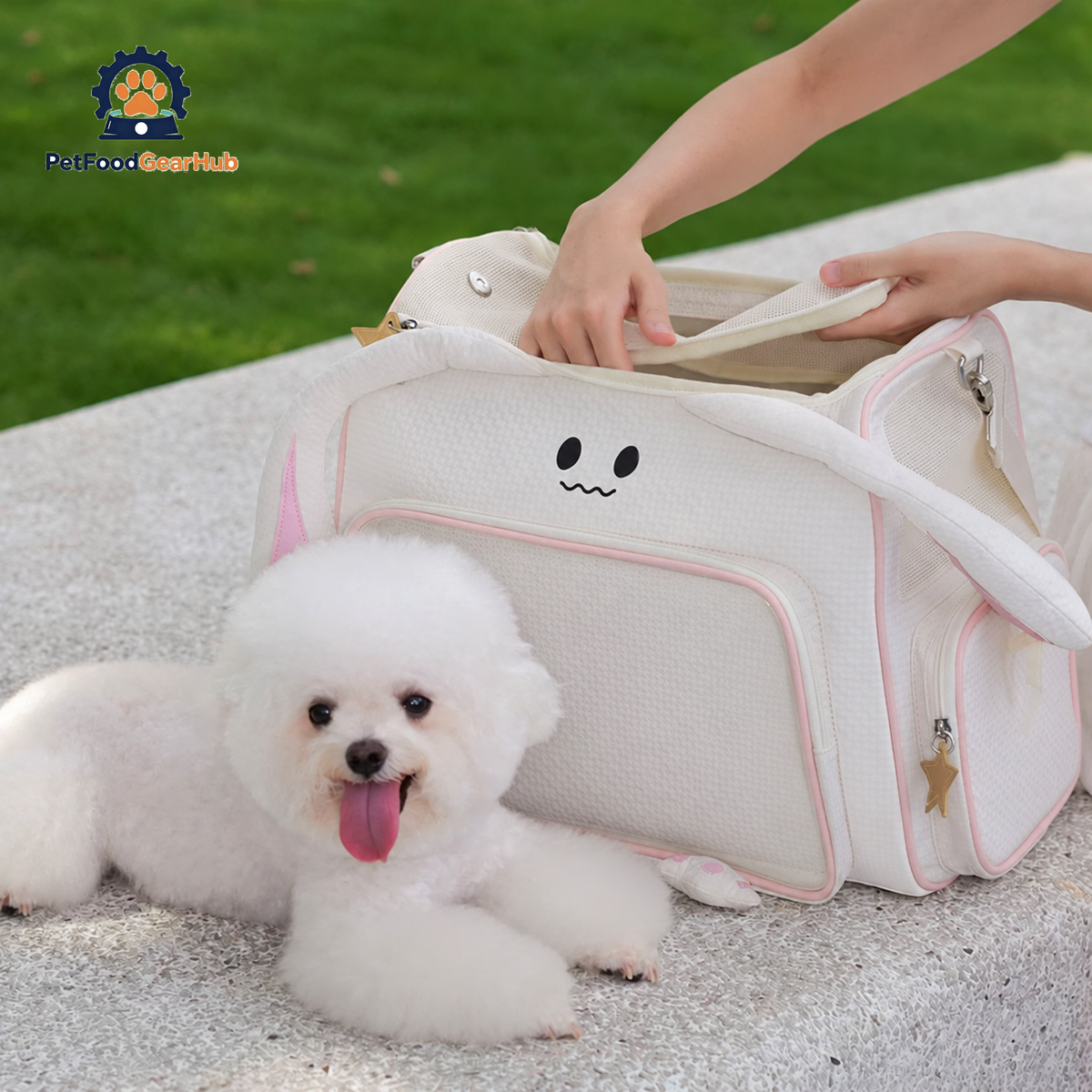 PetFoodGearHub Mallow Cat Backpack beside Small Dog | PetFoodGearHub