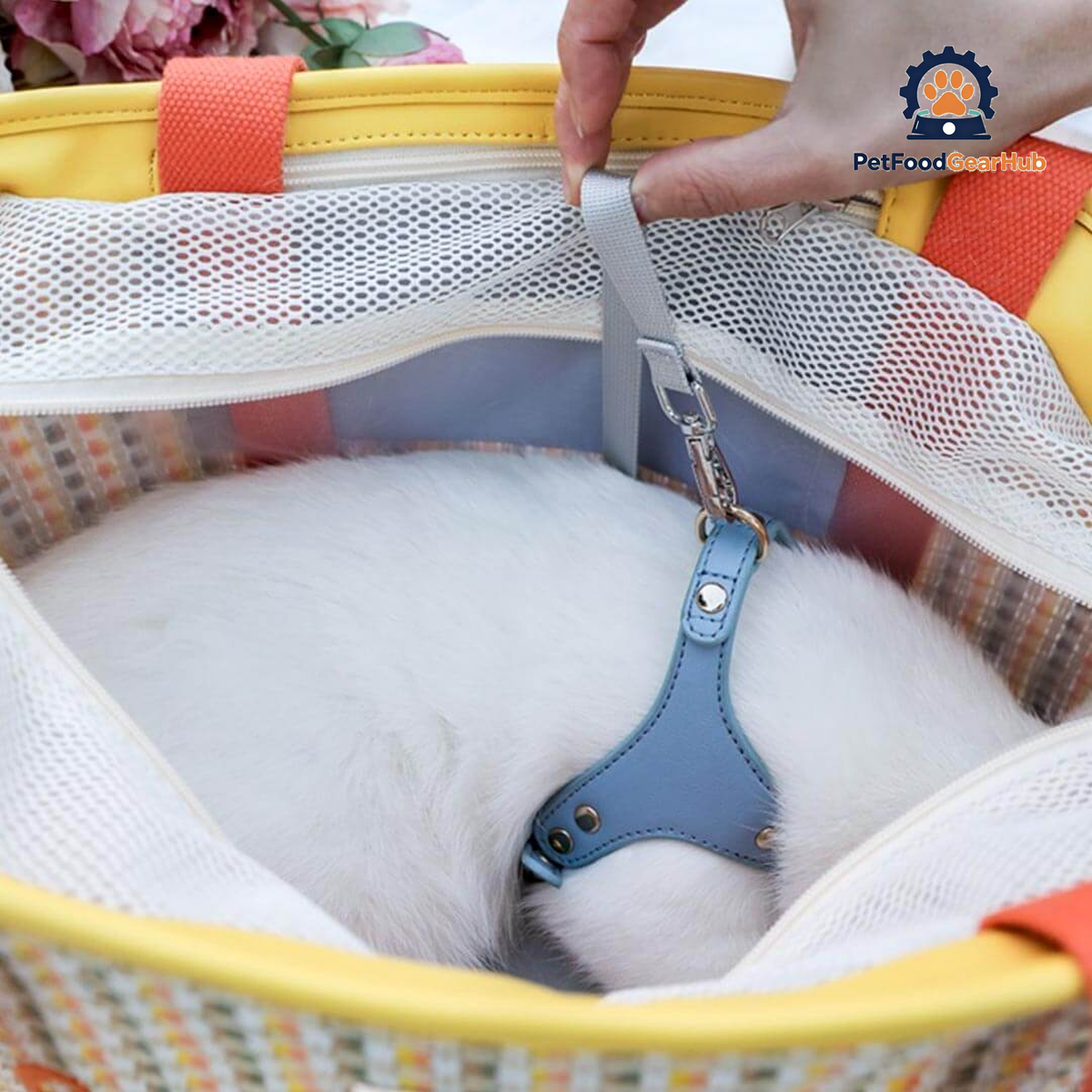 PetFoodGearHub Woven Cat Carrier | Cat in Shoulder Bag | PetFoodGearHub