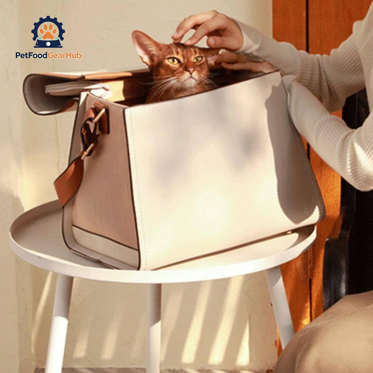 PetFoodGearHub Designer Cat Carrier | Stylish Cat Travel Carrier | PetFoodGearHub