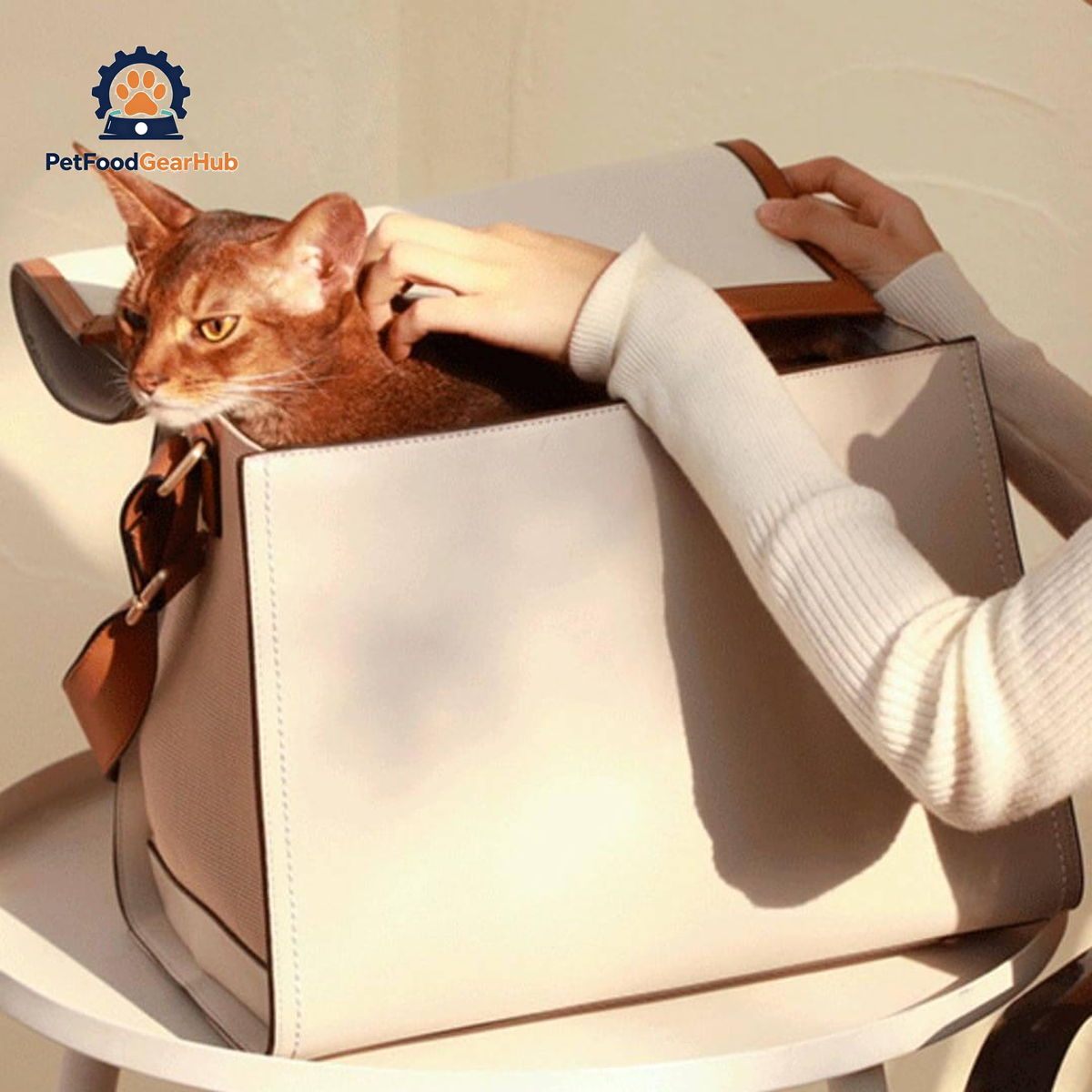 PetFoodGearHub Designer Cat Carrier | Cat Travel Carrier for Small Cats | PetFoodGearHub