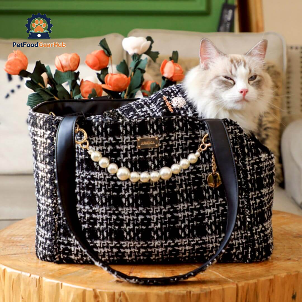 Cat Relaxing in Black PetFoodGearHub Cat Shoulder Bag | PetFoodGearHub