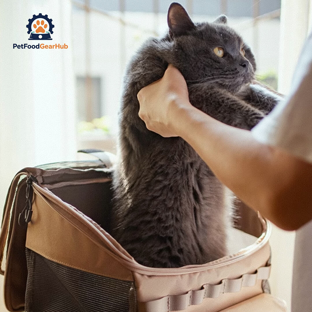 Getting a Cat Inside a Stylish Outdoor Cat Backpack | PetFoodGearHub