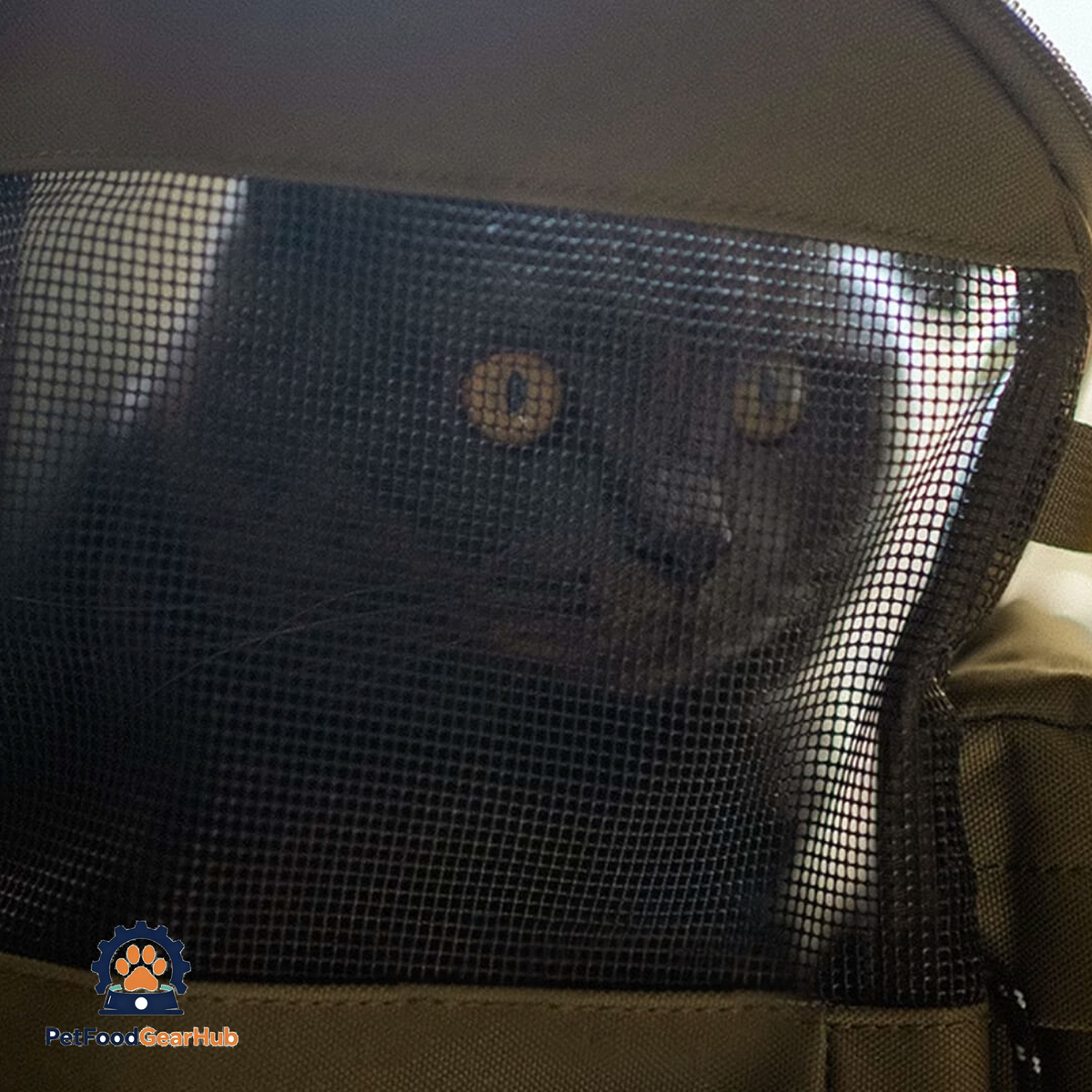 Mesh Side of a Cat Backpack | PetFoodGearHub
