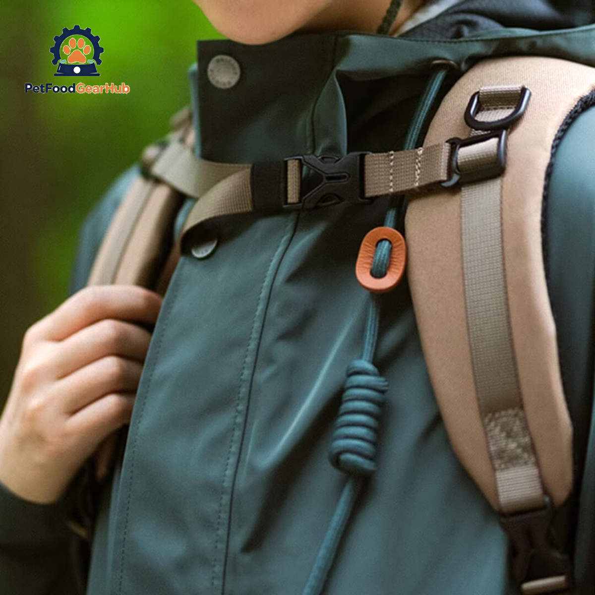 Chest Clip of an Outdoor Cat Backpack | PetFoodGearHub